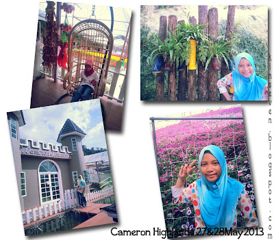 Lavender Garden, Cameron Highlands