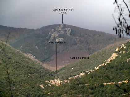 Vistes cap a la vall de la riera de Gualba, el Castell de Can Prat i el Suro de la Pedra