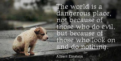 The world is a dangerous place, not because of those who do evil, but because of those who look on and do nothing.

