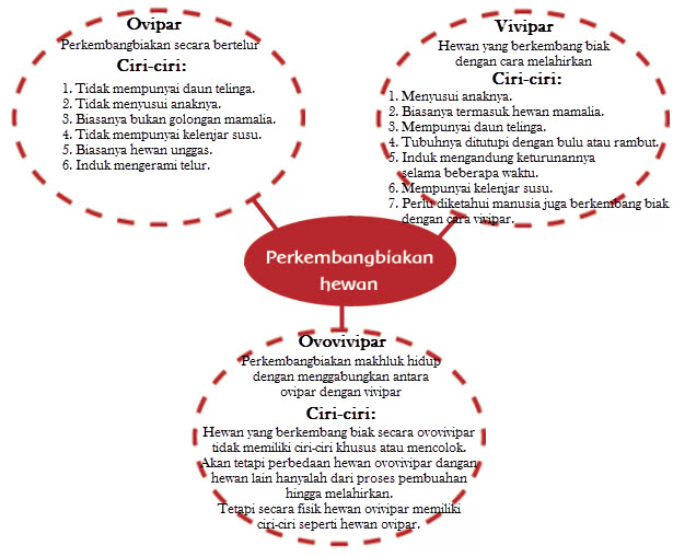 17+ Jelaskan Contoh Hewan Ovovivipar, Koleksi Kekinian!