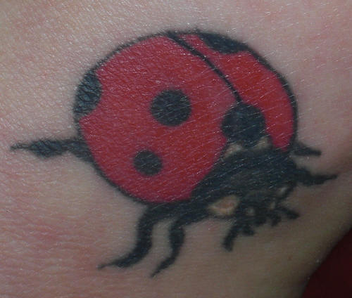 New Ladybug Tattoos Fonts Pictures 2012