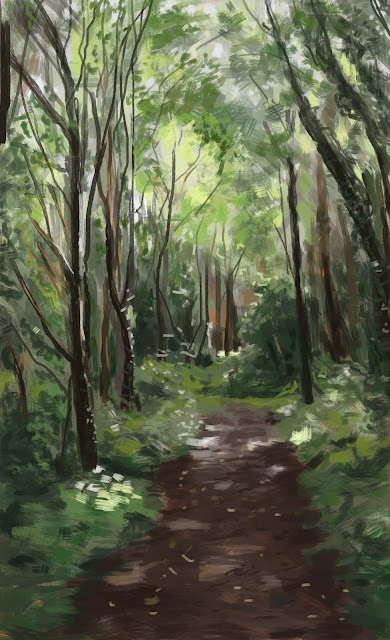 Forest walk 