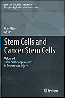 Stem Cells and Cancer Stem Cells, Volume 4: Therapeutic Applications in Disease and Injury