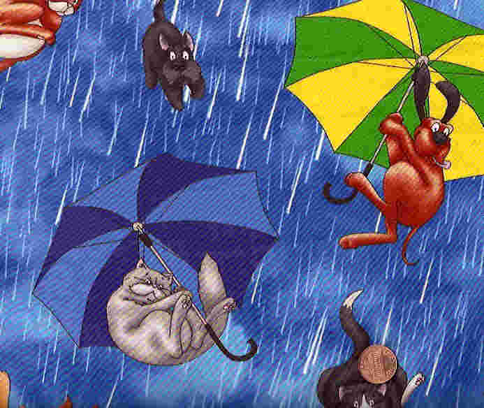 pictures of dogs and cats. It#39;s Raining Cats and Dogs.