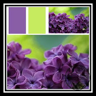 Inspiratiefoto paars en neongroen. Inspiration photo purple and neon-green.