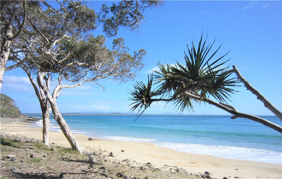 子連れ家族に人気サンシャインコーストにあるヌーサ(Noosa) の海岸の写真  ©otokuinfoaustralia.com