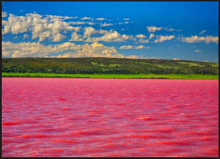 Hillier Lake Western Australia (Pink Lake)
