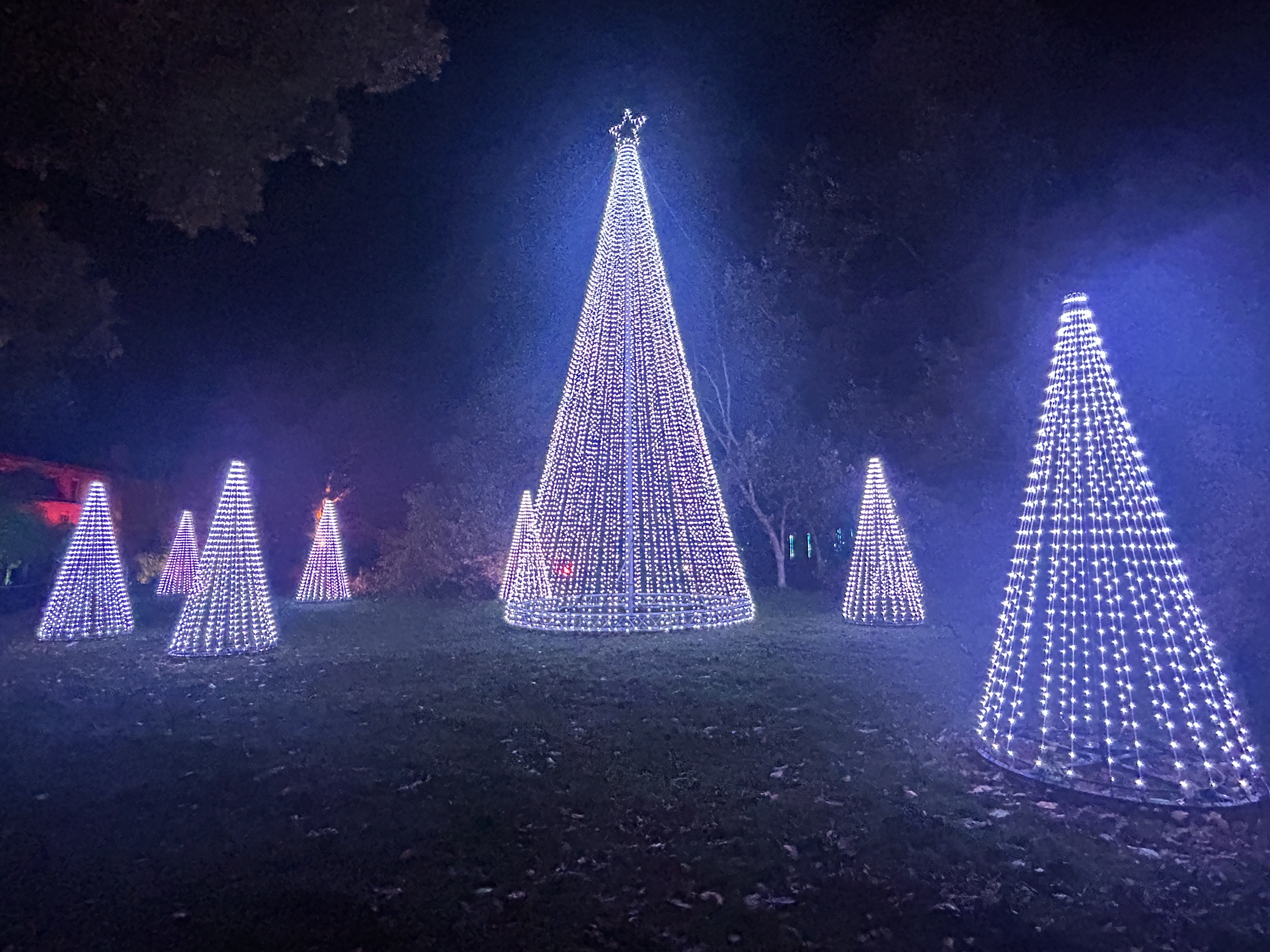 Christmas light trail at Dunham Massey