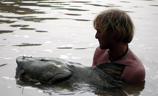 largest goonch catfish