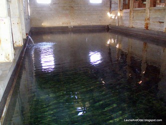 The Pool