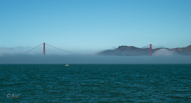 Bahía de San Francisco, Puente Golden Gate, San Francisco, California, EEUU