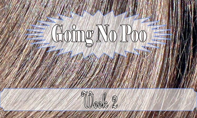 http://happymodernhippy.blogspot.com/2014/11/going-no-poo-week-2-moisturizing-honey.html