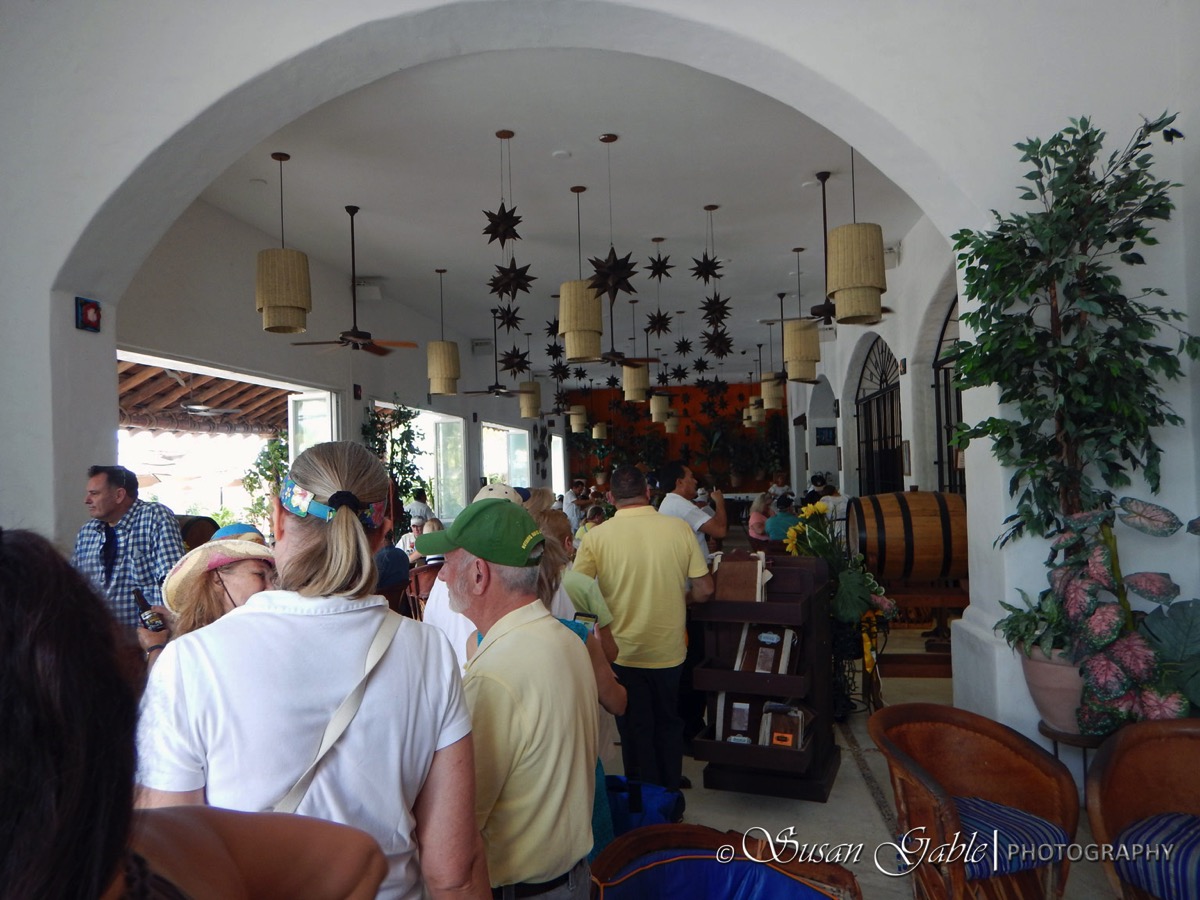 Cozumel 5768