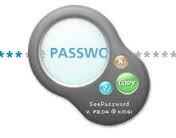 Download 2013 see password