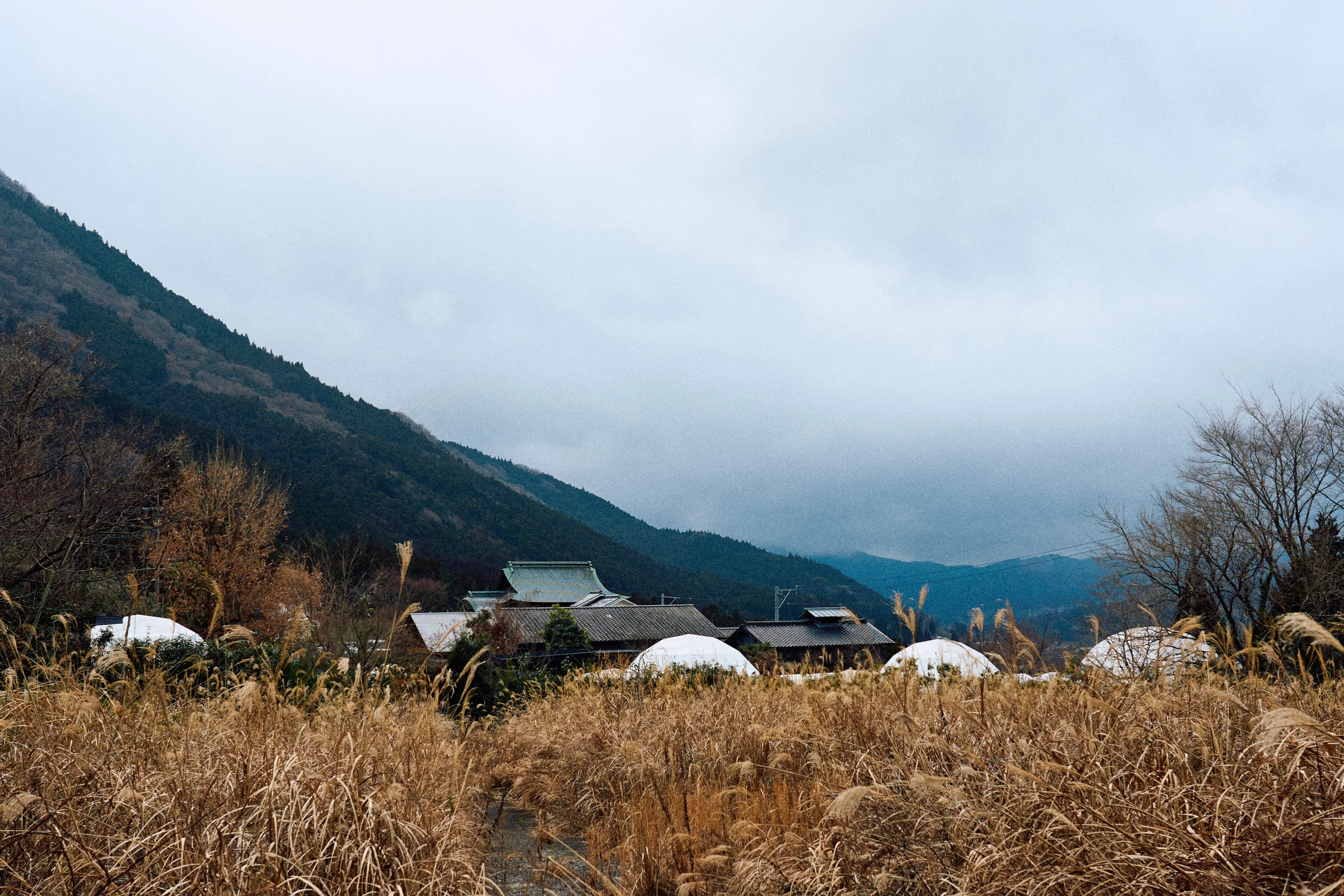 fukuoka-yufuin-trip-후쿠오카-유후인-여행-에키벤또-유후인노모리-료칸유후산-가이세키-조식-석식-킨린호수
