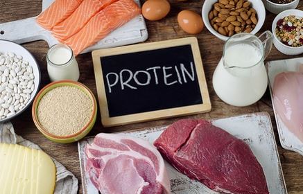 apa yang dimaksud protein