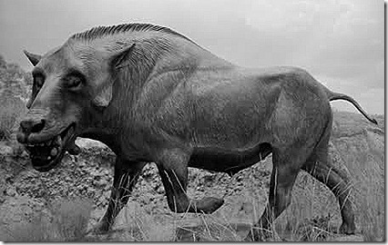 perrocerdo2012