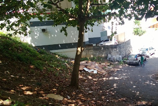 Mais um flagrante de falta de educação e ausência do poder públlico Mais um flagrante de falta de educação e ausência do poder públlico