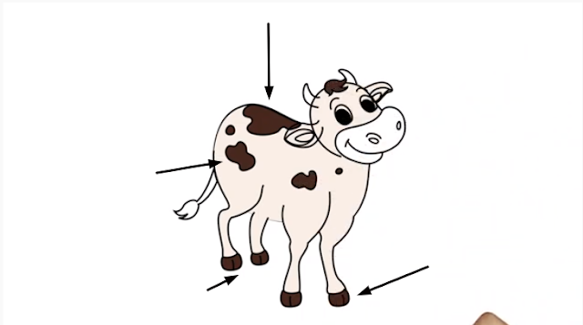 How to Draw a Cow Drawing.