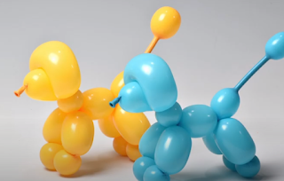 Pudel aus einem Modellierballon geformt.