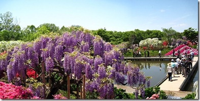 雰囲気02_s-IMG_4041_stitch