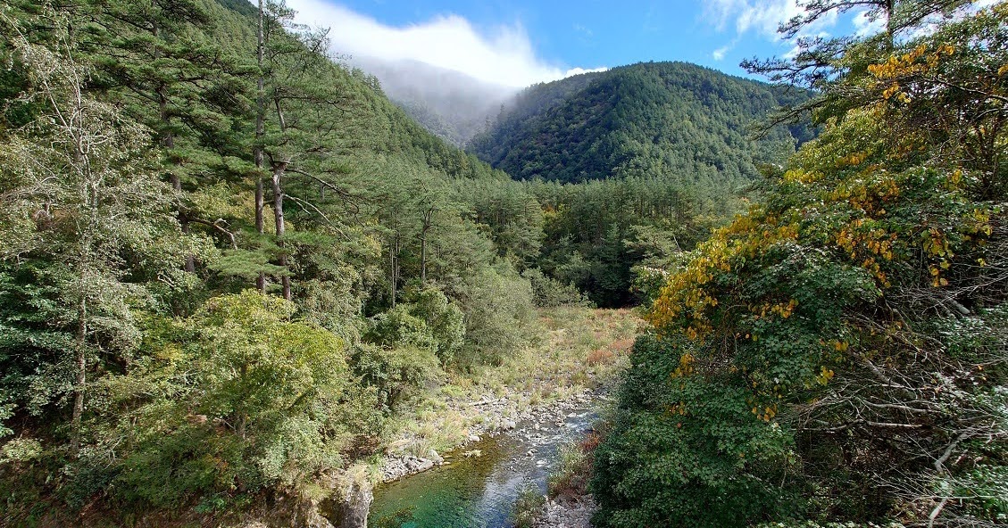 [遊記] 武陵秋色:桃山瀑布步道藍腹鷴持續出沒中