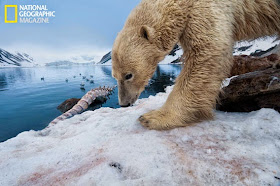 Cambio climático España National Geographic