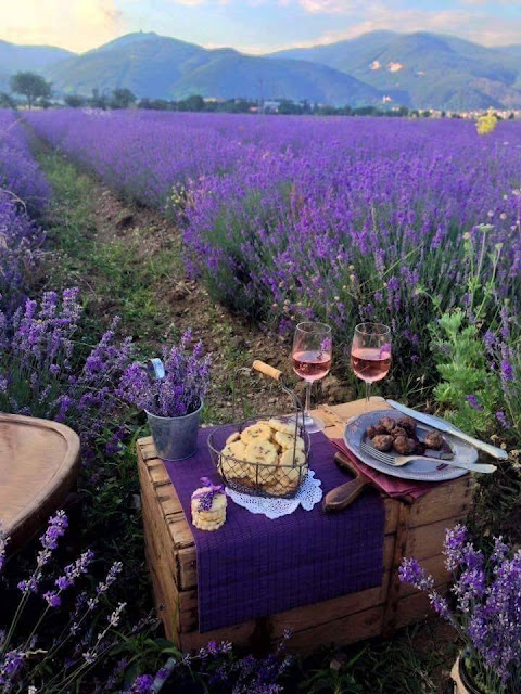 Màu sắc, hương thơm của những cánh đồng hoa lavender là đặc trưng của vùng Provence, thuộc bờ đông nam nước Pháp. Vườn hoa nổi tiếng bậc nhất ở đây nằm trước tu viện Senanque gần Gordes. Thời gian đẹp nhất để ngắm hoa oải hương của Pháp là từ tháng 6 đến tháng 8.