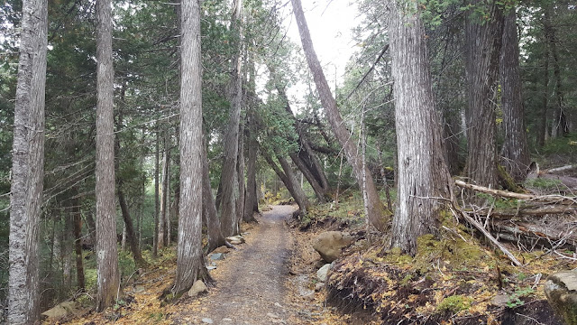 Sentier pédestre du mont Albert