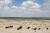The Disappearing Aral Lake and the Ship Graveyard of Moynaq