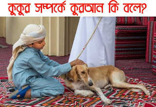 Quran say about dog