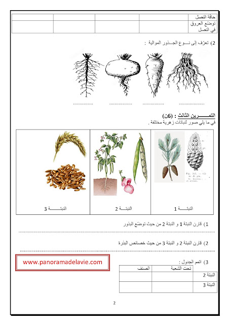 فرض مراقبة عدد 02 علوم الحياة و الارض السنة 8 أساسي