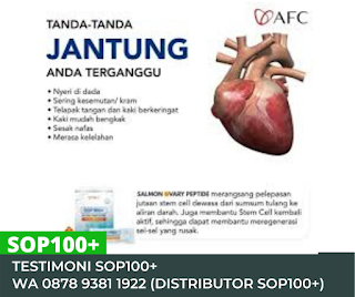 Jual Sop 100 Jantung Pekanbaru