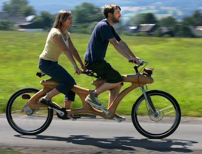 Wooden bicycle