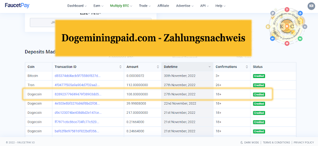 Dogeminingpaid.com Zahlungsnachweis November 22