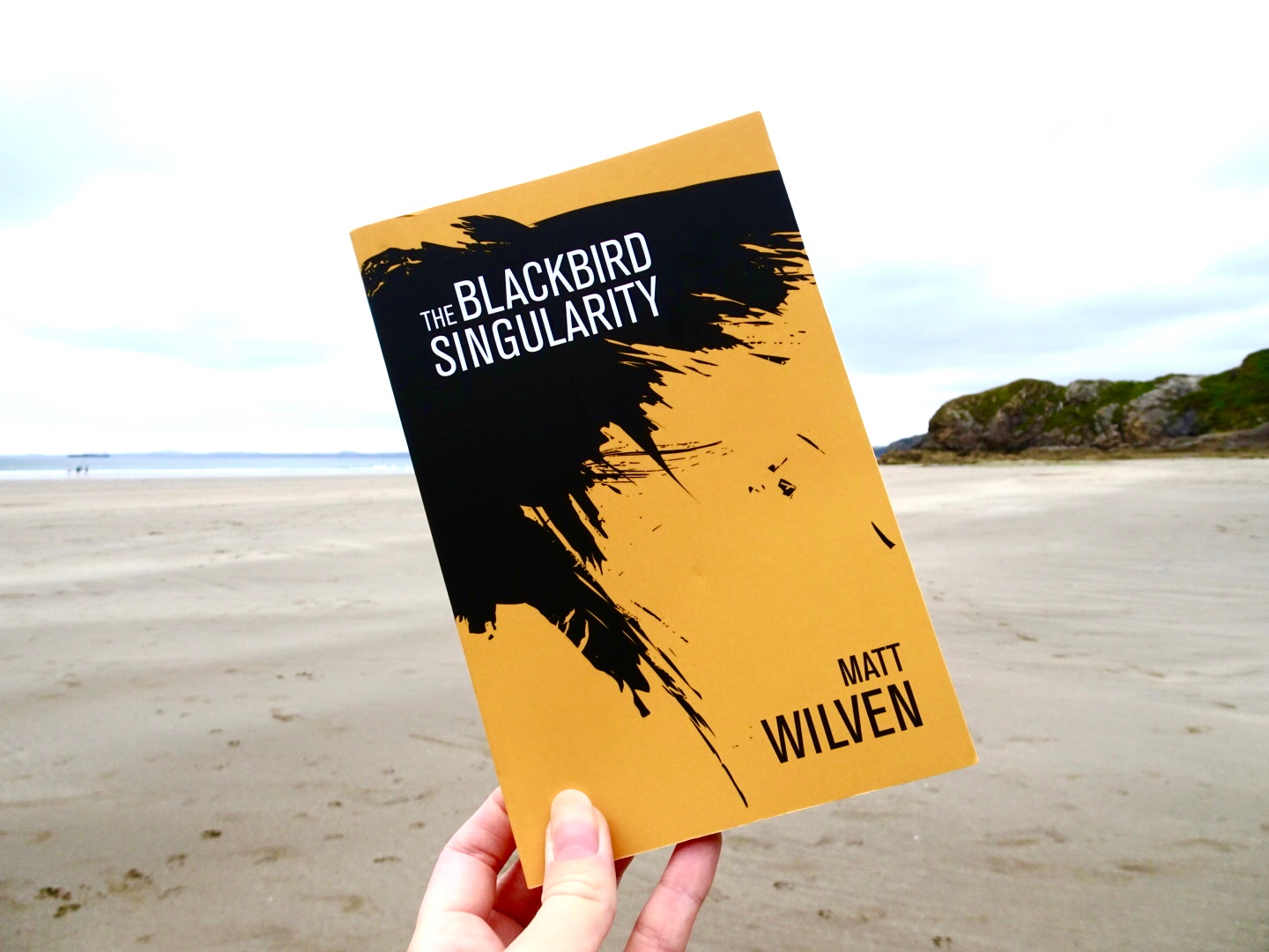 Review The Blackbird Singularity Matt Wilven A View From The Balcony