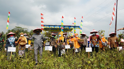 Bupati Panen Raya Kacang Hijau Di Pituruh