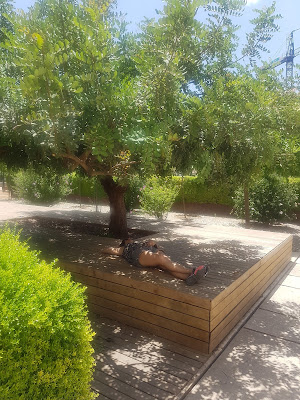 Grabbing some shade in Cuarto Real de Santo Domingo