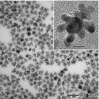 new catalyst based on dendritic platinum arm