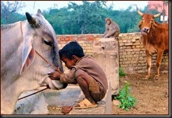 Children_and_Animals_____by_Indiangal