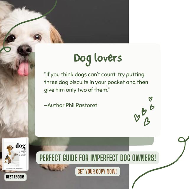Best Guide for imperfect Dog owners| The ultimate guide to Dog health