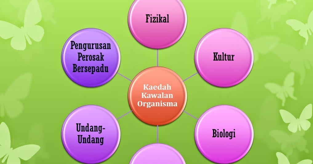 Contoh Soalan Biologi Kertas 2 Tingkatan 4 Akhir Tahun 