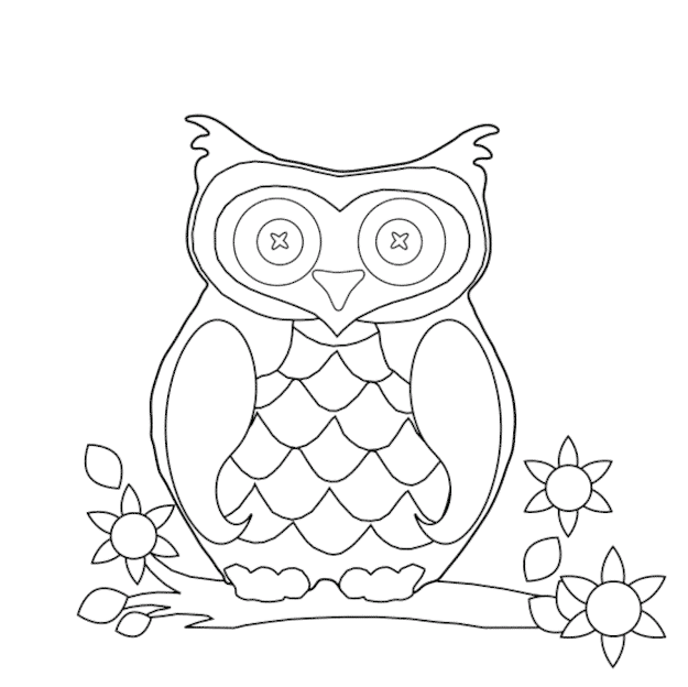 Hard Owl Coloring Pages Medium Size Hard Owl Coloring Pages Large Size 