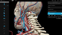 Programmi di anatomia del corpo umano in 3D gratuiti