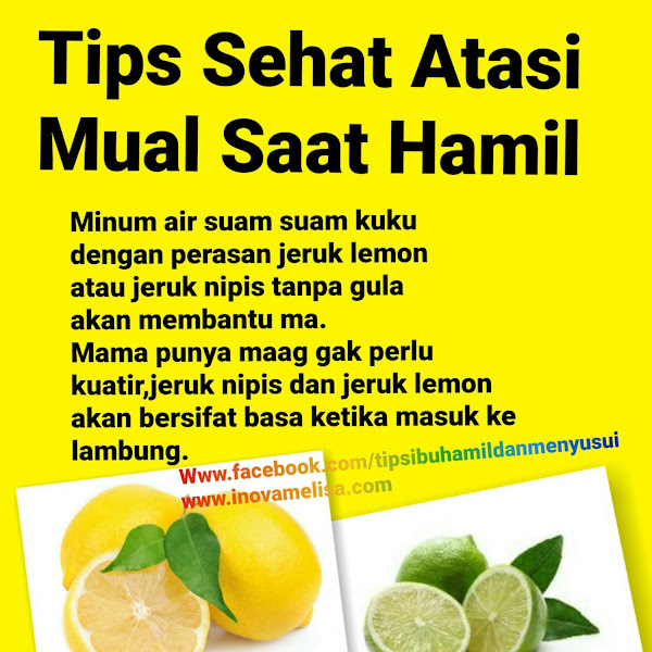 Tips Sehat Atasi Mual Saat Hamil