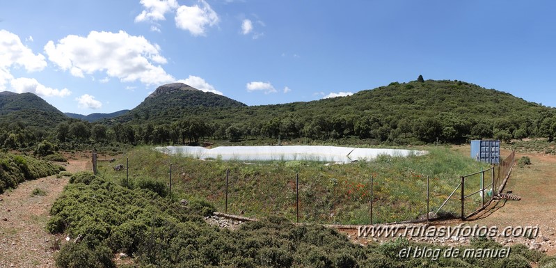 Cerro la Tala desde Conejeras