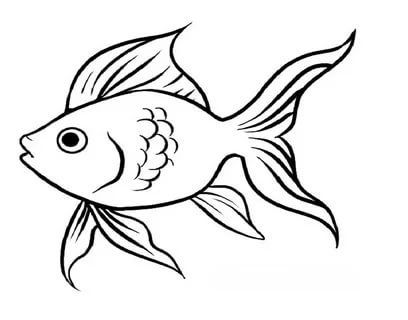 sketsa gambar ikan