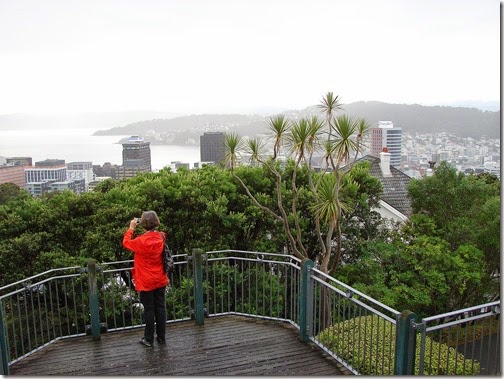 wellington4