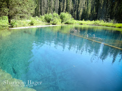 Shannon Hager Photography, Little Crater Lake, Oregon Camping