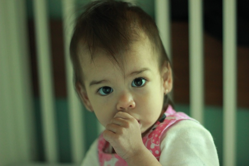 IMG_1170-2012-12-18-00-29.jpg